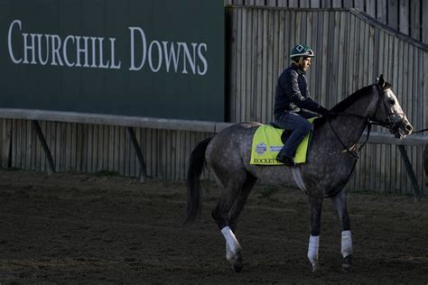 Four horse racing deaths cast tragic shadow over upcoming Kentucky Derby